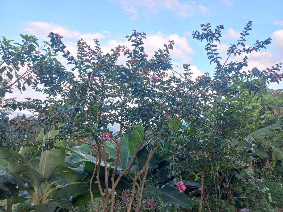 Homestay Hoang Vu Ha Giang Luaran gambar