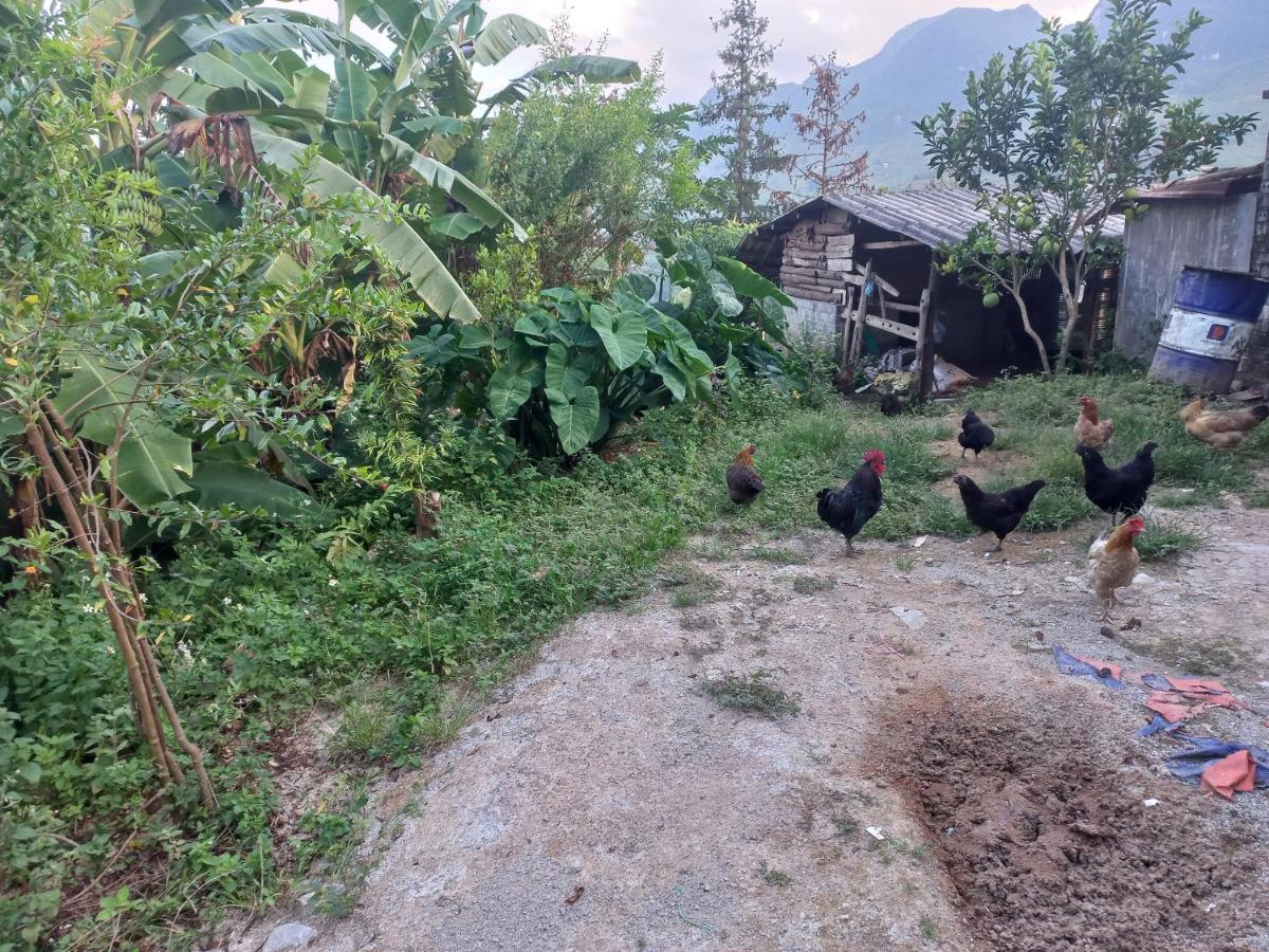 Homestay Hoang Vu Ha Giang Luaran gambar